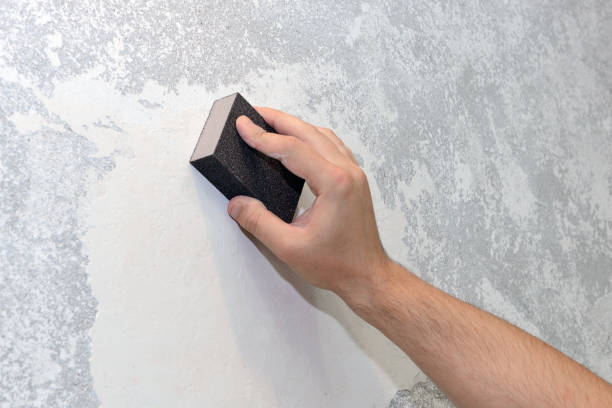 Best Environmental Consulting for Mold Prevention  in Belwood, NC