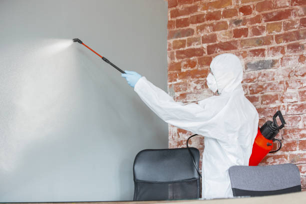 Best Airborne Mold Testing  in Belwood, NC
