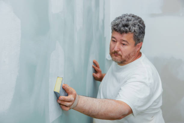 Best Comprehensive Air Testing for Mold Contaminants  in Belwood, NC
